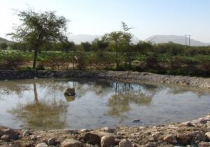 جاذبه رفاهی تفریحی